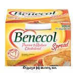 Benecol&nbsp;Spread&nbsp;65% vegetable oil Center Front Picture
