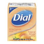 Dial Bar&nbsp;Soap&nbsp;Antibacterial Tropical Escape 4.5 Oz Center Front Picture