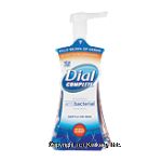 Dial Complete&nbsp;Hand Wash&nbsp;Foaming Antibacterial Center Front Picture