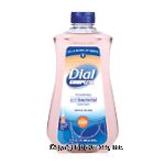 Dial&nbsp;Complete&nbsp;antibacterial foaming hand wash refill Center Front Picture