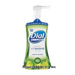 Dial Complete&nbsp;Hand Wash&nbsp;Fresh Pear Foaming Antibacterial w/Lotion Center Front Picture
