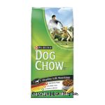 Dog Chow Dog Food Healthy Life Nutrition Center Front Picture