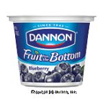 Dannon&nbsp;Fruit On The Bottom Yogurt&nbsp;7 Benefits Blueberry Lowfat Center Front Picture