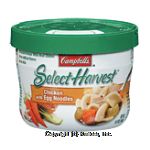 Campbell's&nbsp;Select&nbsp;chicken with egg noodles soup made with only roasted white meat Center Front Picture