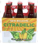 New Belgium Citradelic tangerine ipa, 12-fl. oz., 6% alc. by vol. Center Front Picture