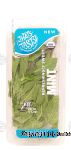 That's Tasty Refreshingly Sweet! mint leaves Center Front Picture