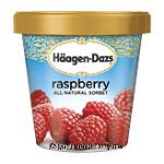 Haagen-Dazs Sorbet Raspberry Fat Free Center Front Picture