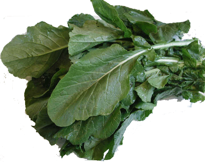 Product Infomation for Glory kale per pound